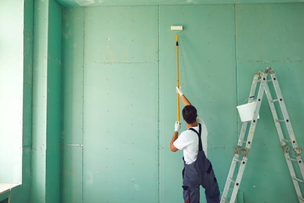 Mold Remediation for Rental Properties in Danville, CA
