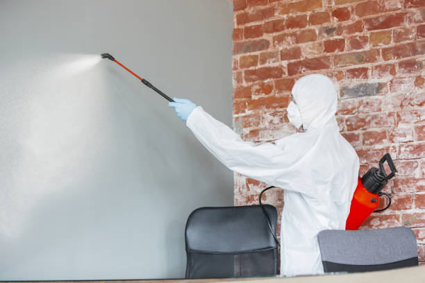 Best Post-Construction Mold Inspection  in Danville, CA