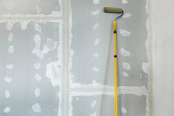 Danville, CA Mold Removal Company