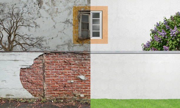 Mold Remediation for Vacation Homes in Danville, CA
